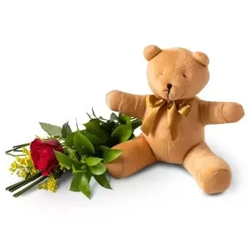 Recife blomster- Rød og Teddybear Lonely Rose Levering