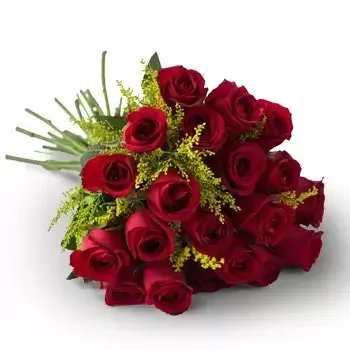 fleuriste fleurs de Abaete- Bouquet de 20 roses rouges Fleur Livraison