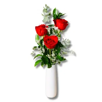 flores Alicante floristeria - Gracia Roja: 3 Rosas Rojas y Verdes