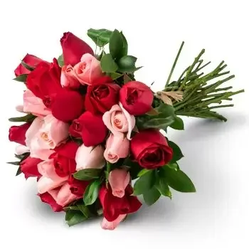 Alcantara květiny- Kytice z 32 dvoubarevných růží Květ Dodávka