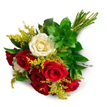 Agro Cafeeira-virágok- Csokor 10 fehér és piros rózsa Virág Szállítás