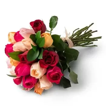 Almadina kwiaty- Bukiet 24 kolorowych róż Kwiat Dostawy