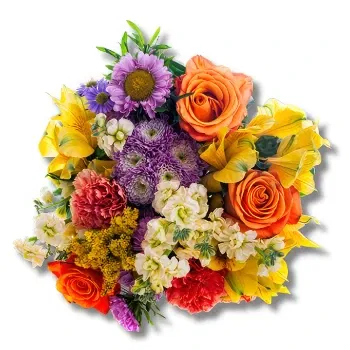 fiorista fiori di Graz- Potere dei fiori