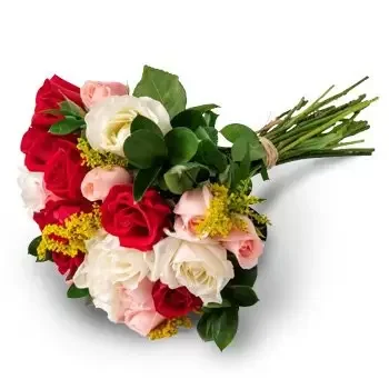 Angelina kwiaty- Bukiet 24 róż w trzech kolorach Kwiat Dostawy
