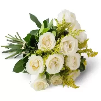 بائع زهور اماناري- باقة من 12 وردة بيضاء زهرة التسليم