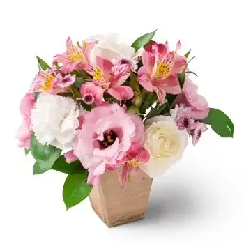 Andira-virágok- A szegfű, a rózsa és az astromelia elrendezés Virág Szállítás