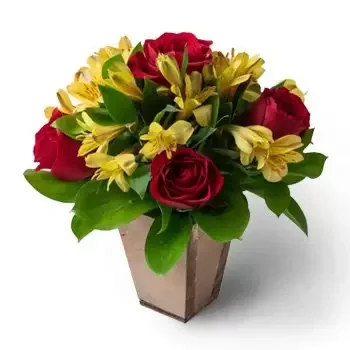 fleuriste fleurs de Ananas- Petit arrangement des roses rouges et d’Astro Fleur Livraison
