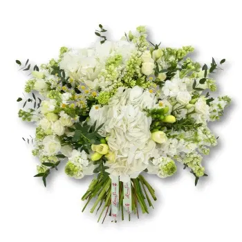 Qatar Fiorista online - Bouquet di ortensie bianche e fresie Mazzo