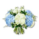 An-Najadah blomster- Elegant hortensia og voksblomst Blomsterarrangementer bukett