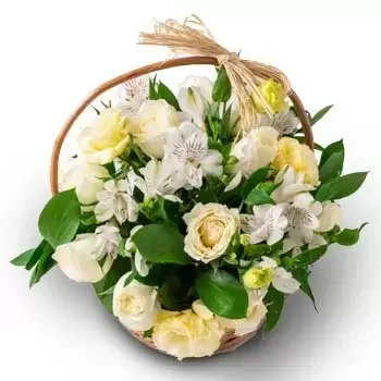 Ampér květiny- Košík bílé pole květiny Květ Dodávka
