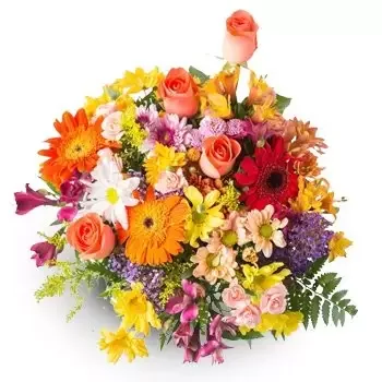 fleuriste fleurs de Salvador- Bouquet moyen de domaine coloré coloré Fleur Livraison