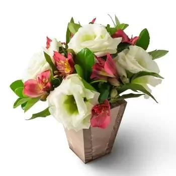 Salvador flowers  -  Arrangement of Field Flowers and Astromelia i Delivery