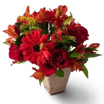 Aguas Mornas blomster- Blandet rød blomst arrangement Blomst Levering