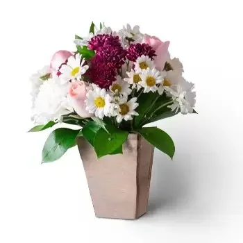 Anage bloemen bloemist- Arrangement van madeliefjes, anjers en rozen  Bloem Levering