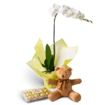 Fortaleza online Blomsterhandler - Phalaenopsis Orchid til gave, chokolade og ba Buket