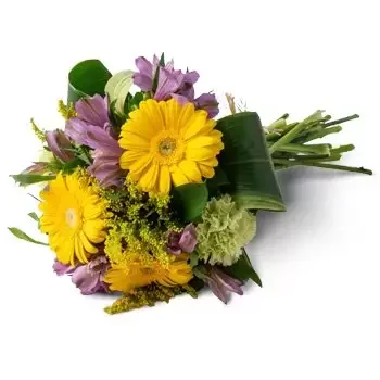 Acu kwiaty- Bukiet Astromelii i Gerberas Kwiat Dostawy