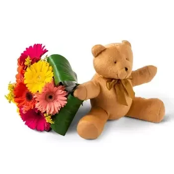 Americano do Brasil-virágok- Csokor 8 Gerberas és Teddybear Szállítás