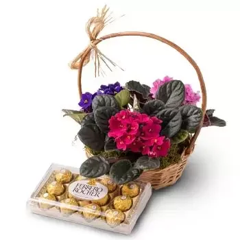 fleuriste fleurs de Albertina- Panier avec 3 violettes et chocolats Fleur Livraison