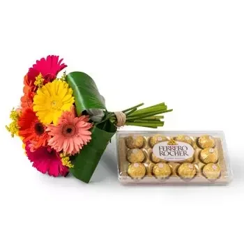 Agrestina kwiaty- Bukiet 8 Kolorowych Gerberów i czekoladek Kwiat Dostawy