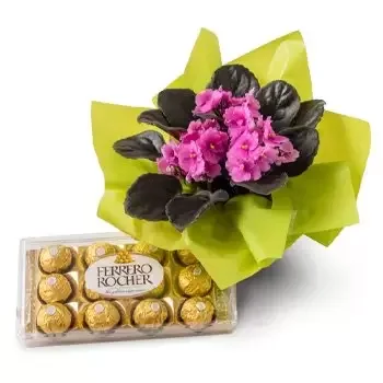 Aguas Brancas kwiaty- Fioletowy wazon na prezent i czekoladę Kwiat Dostawy
