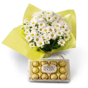 flores de Brasil- Vaso de Margaridas para Presente e Chocolate Flor Entrega