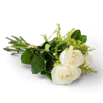 Belém Florista online - Buquê de 3 Rosas Brancas Buquê