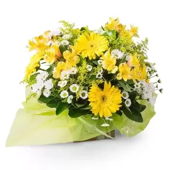 Abdon Batista kwiaty- Układ białych i żółtych Gerberas i Stokrotki Kwiat Dostawy