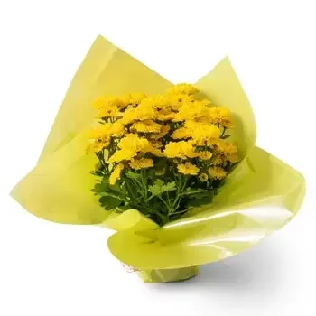 Almofala bloemen bloemist- Geschenkvaas van madeliefjes Bloem Levering