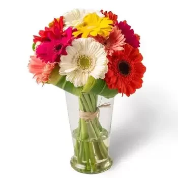 Antonio Joao bloemen bloemist- 12 Kleurrijke Gerbera's in vaas Bloem Levering