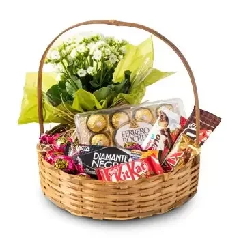 Salvador cvijeća- Luksuzna košara za kavu s čokoladom i cvijeće Cvijet Isporuke