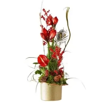 fleuriste fleurs de Novi Pazar- Arrangement de Noël rouge Fleur Livraison