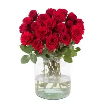 Aisch Blumen Florist- Rote Leidenschaft Blumen Lieferung