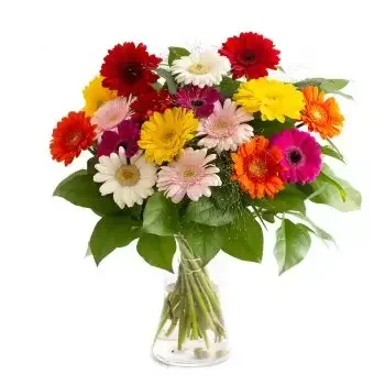 بائع زهور التنميتلاو- فرحة الألوان زهرة التسليم