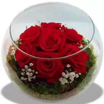 Албуфейра цветы- Любовь в Приморье Цветок Доставка