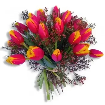 אלקריה קובה פרחים- שמש פרח משלוח
