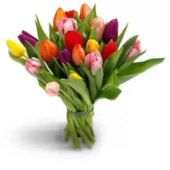 קמפונג וואקף פרחים- זמן האביב פרח משלוח