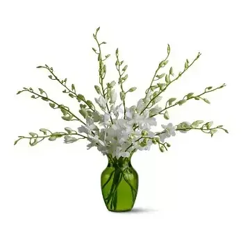 Σίτρα λουλούδια- Φρέσκο ​​χειμώνα Μπουκέτο/ρύθμιση λουλουδιών