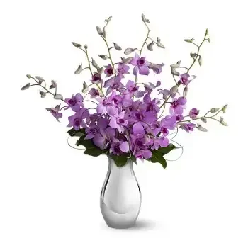 סיטרה פרחים- ורוד יפה פרח משלוח