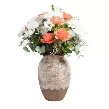 Altet פרחים- מבחר אפרסק פרח משלוח