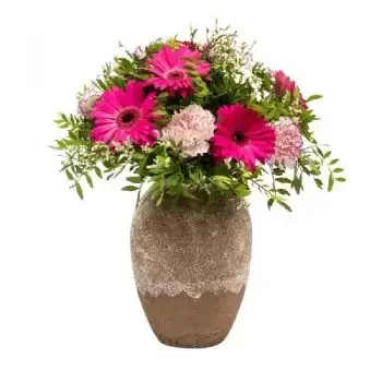 Sa Indioteria Blumen Florist- Rosa Grüße Blumen Lieferung