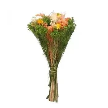 flores de Iruña de Oca- Anjo Flor Entrega