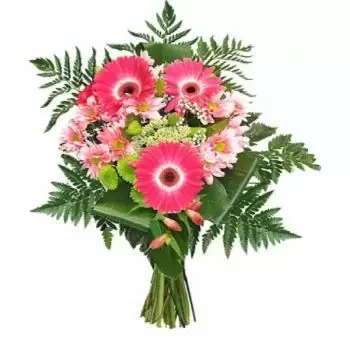 Penjamo blomster- Rosa gnist Blomst Levering