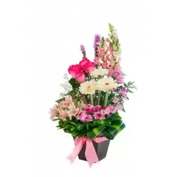 بائع زهور غوادالاخارا- الحاضر الوردي زهرة التسليم