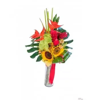 Álvaro Obregón Blumen Florist- Tropische Nacht Blumen Lieferung