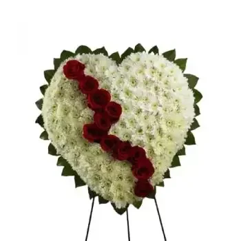 Tijuana online Florist - Red Roses Heart Wreath  Bouquet