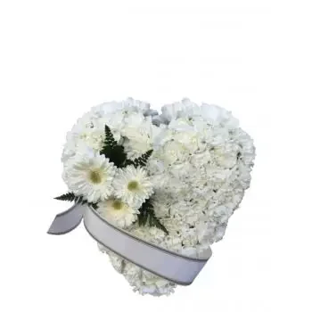 מלאגה פרחים- לב לבן פרח משלוח