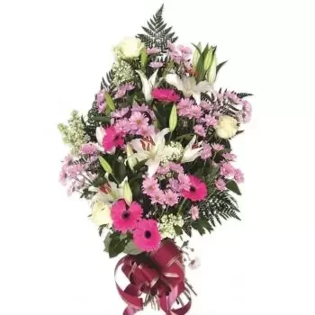 بائع زهور فيونجيرولا- التعاطف الوردي زهرة التسليم
