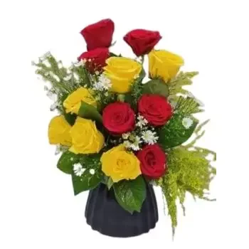 fiorista fiori di Ad Dilam- 12 rose miste Fiore Consegna