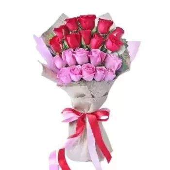 אל-ג'ישה פרחים- 20 ורדים אדומים וורודים פרח משלוח