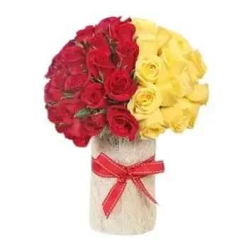 بائع زهور الجش- الورود الحمراء والصفراء زهرة التسليم